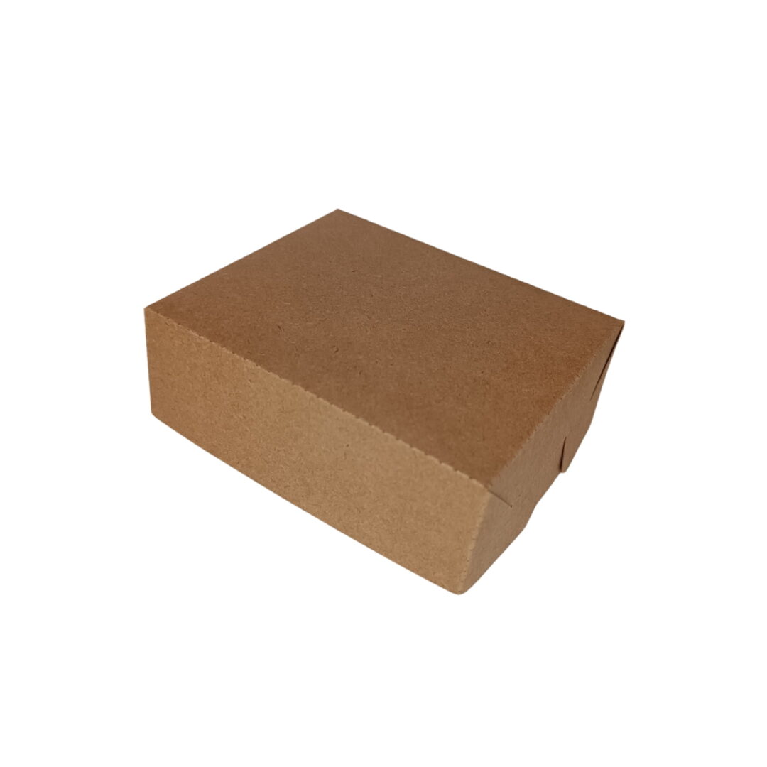Caixa Retangular Com Abas - 11x4x9cm - 10 Unidades