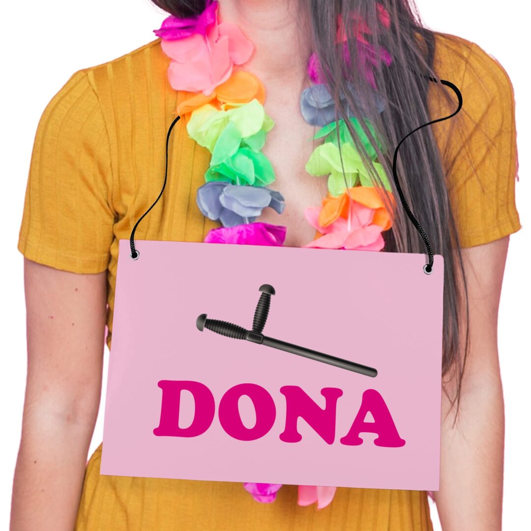 Placa Fantasia de Carnaval - Casal - Já Tenho Dona