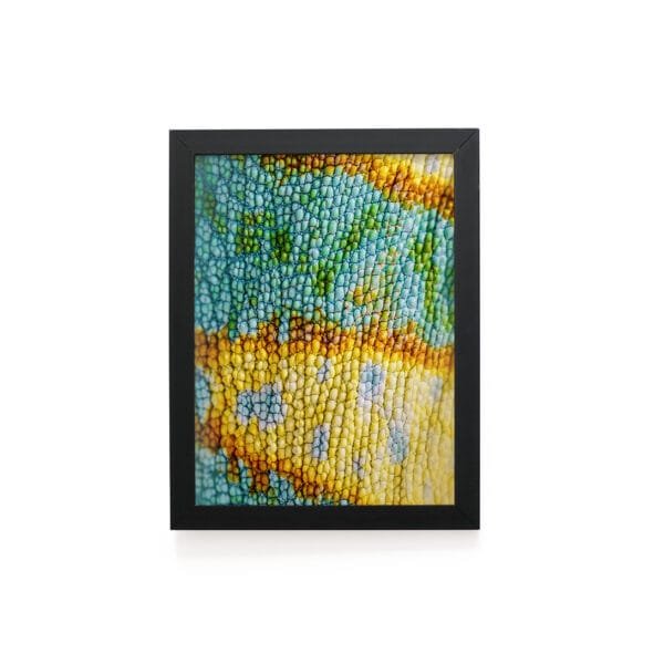Quadro Decorativo 30x42cm - Textura Animal - Camaleão