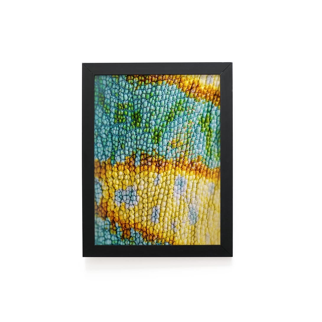Quadro Decorativo 30x42cm - Textura Animal - Camaleão
