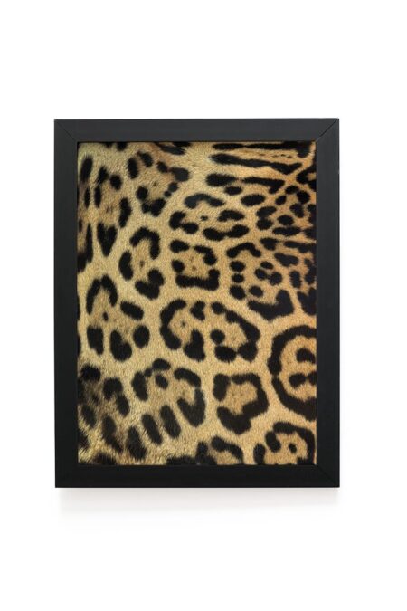 Quadro Decorativo 30x42cm - Textura Animal - Onça-Pintada