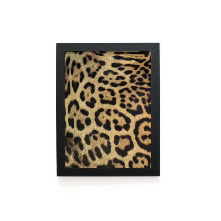 Quadro Decorativo 30x42cm – Textura Animal – Onça-Pintada