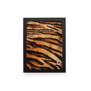Quadro Decorativo 30x42cm - Textura Animal - Tigre
