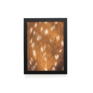 Quadro Decorativo 30x42cm - Textura Animal - Veado