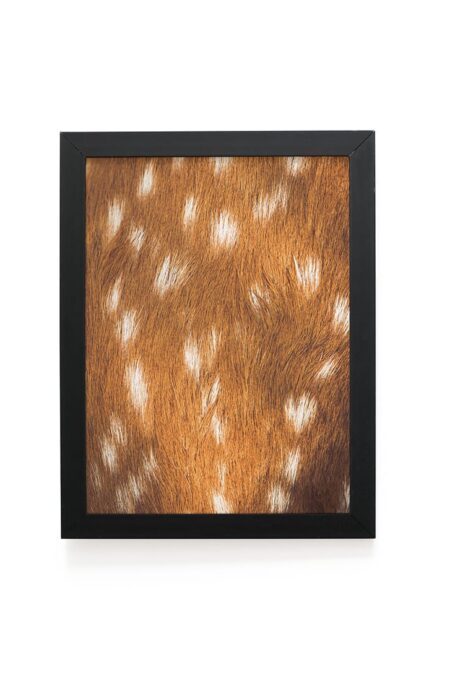 Quadro Decorativo 30x42cm - Textura Animal - Veado