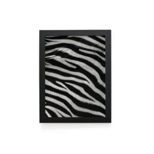 Quadro Decorativo 30x42cm - Textura Animal - Zebra