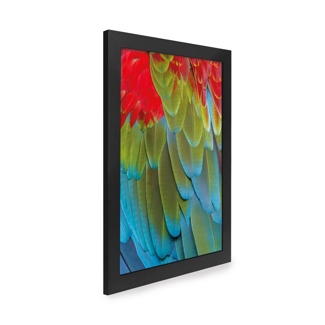 Quadro Decorativo 30x42cm - Textura Animal - Arara Vermelha