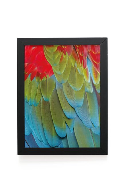 Quadro Decorativo 30x42cm - Textura Animal - Arara Vermelha