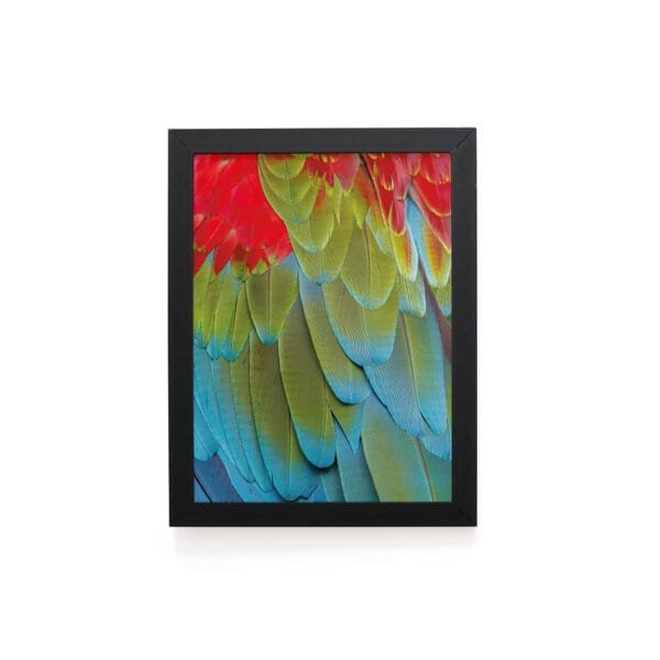 Quadro Decorativo 30x42cm - Textura Animal - Arara Vermelha
