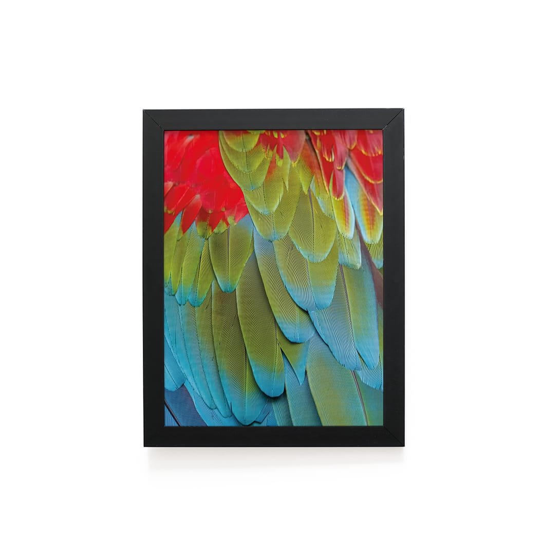 Quadro Decorativo 30x42cm - Textura Animal - Arara Vermelha