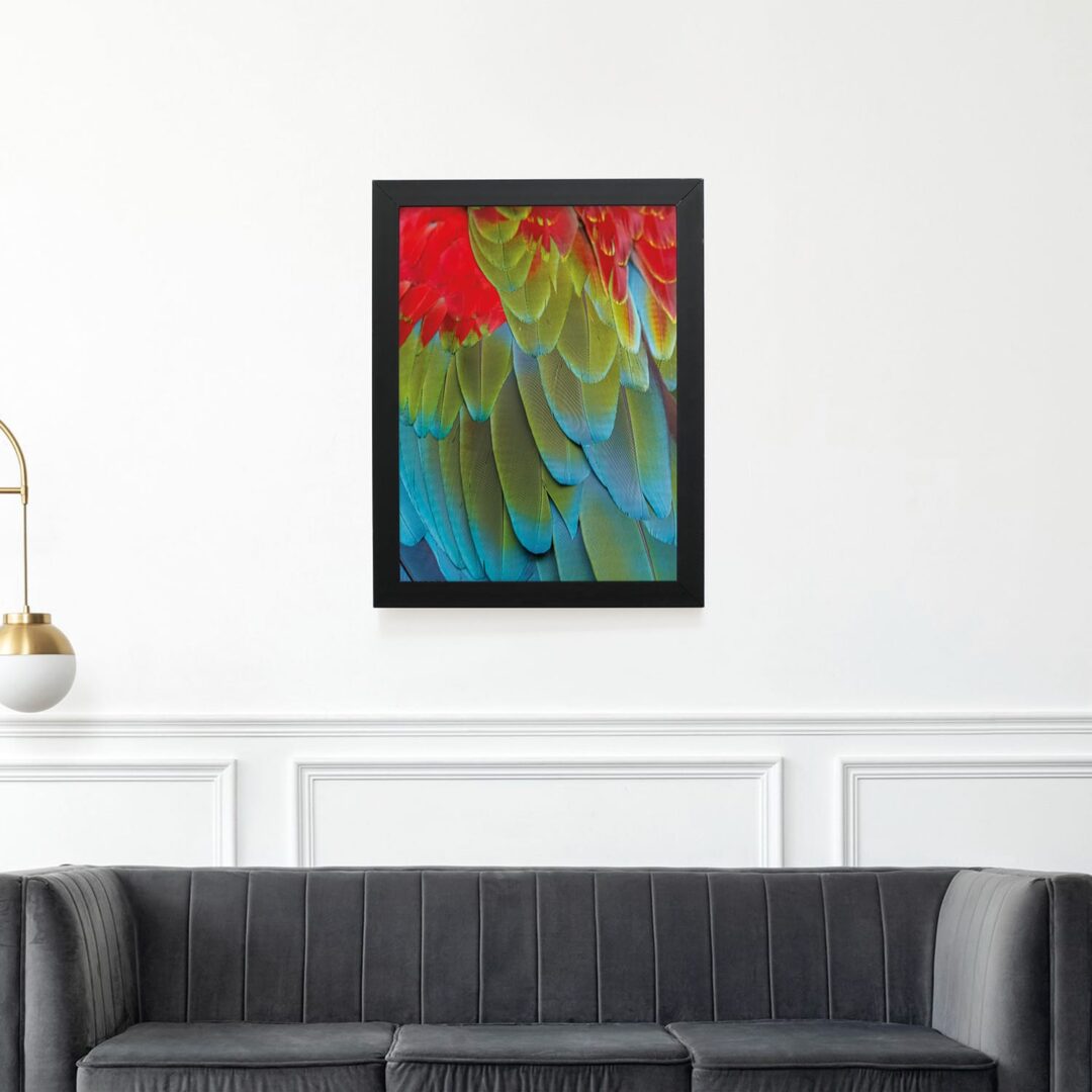 Quadro Decorativo 30x42cm - Textura Animal - Arara Vermelha