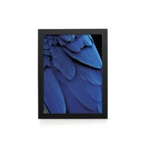 Quadro Decorativo 30x42cm - Textura Animal - Arara Azul