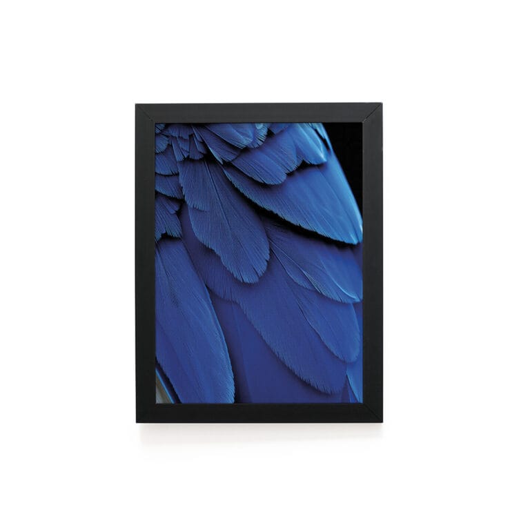 Quadro Decorativo 30x42cm – Textura Animal – Arara Azul