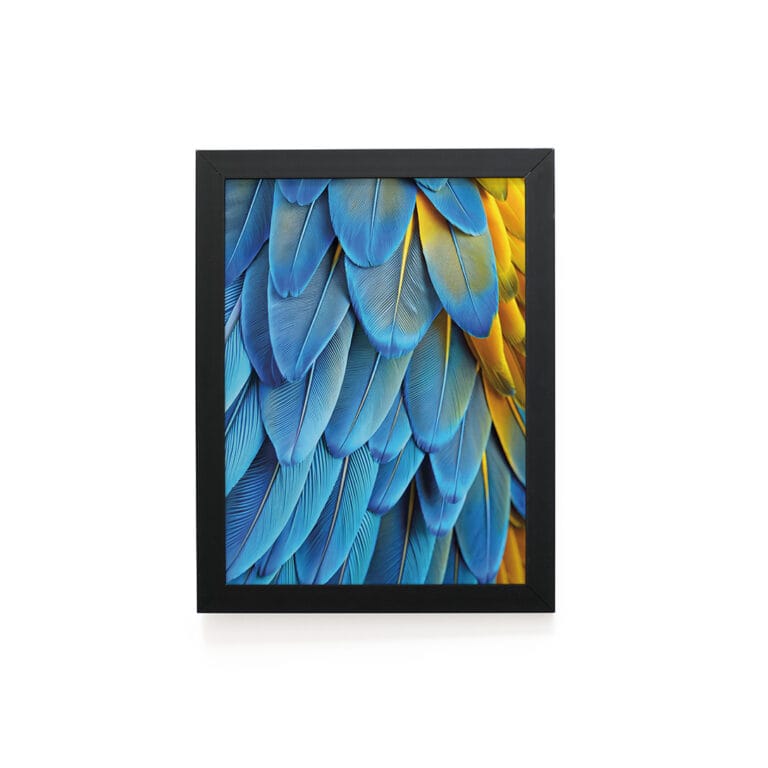 Quadro Decorativo 30x42cm – Textura Animal – Arara Canindé