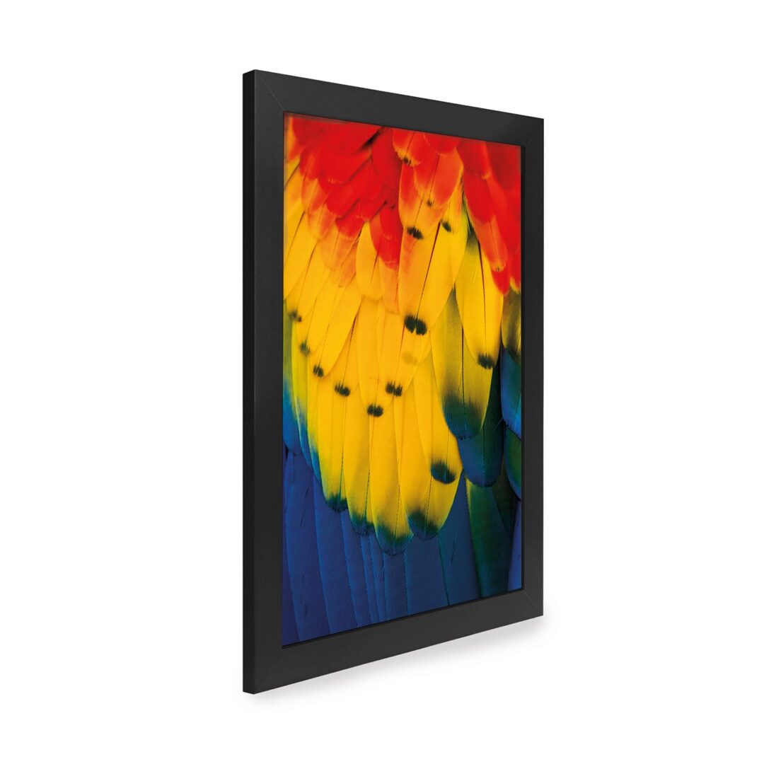 Quadro Decorativo 30x42cm - Textura Animal - Araracanga