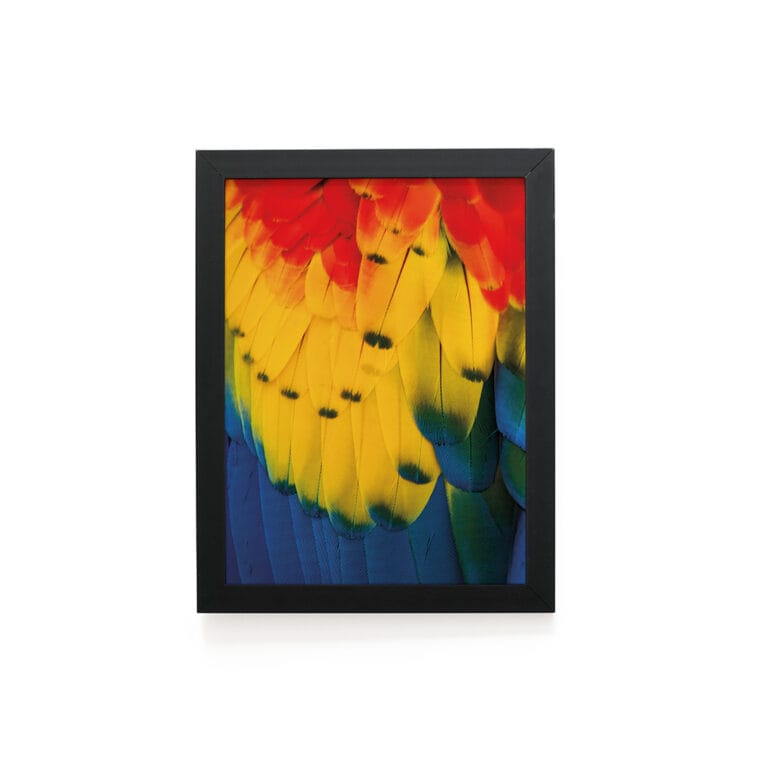 Quadro Decorativo 30x42cm – Textura Animal – Araracanga