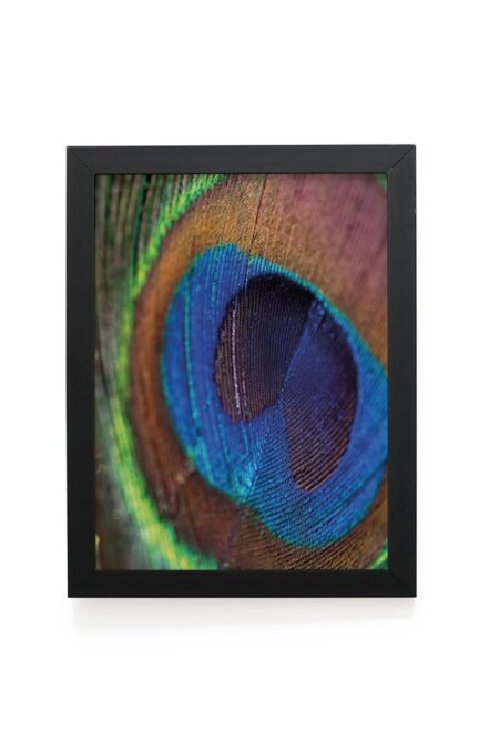 Quadro Decorativo 30x42cm - Textura Animal - Pavão