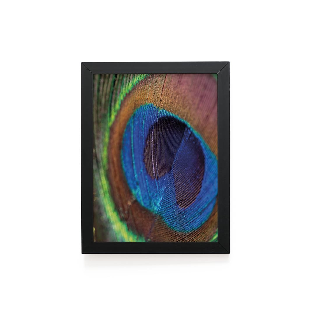 Quadro Decorativo 30x42cm - Textura Animal - Pavão