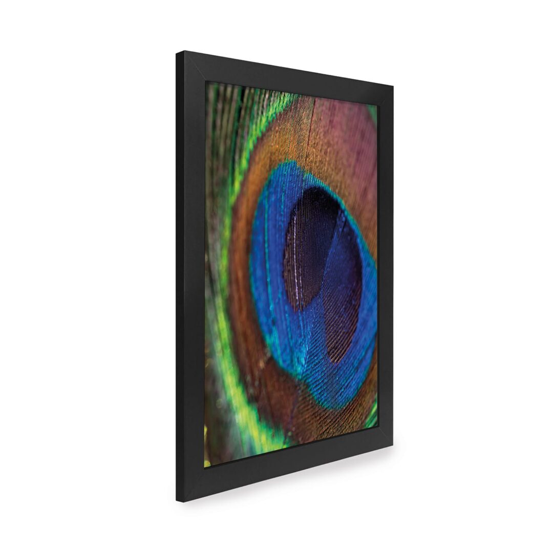 Quadro Decorativo 30x42cm - Textura Animal - Pavão
